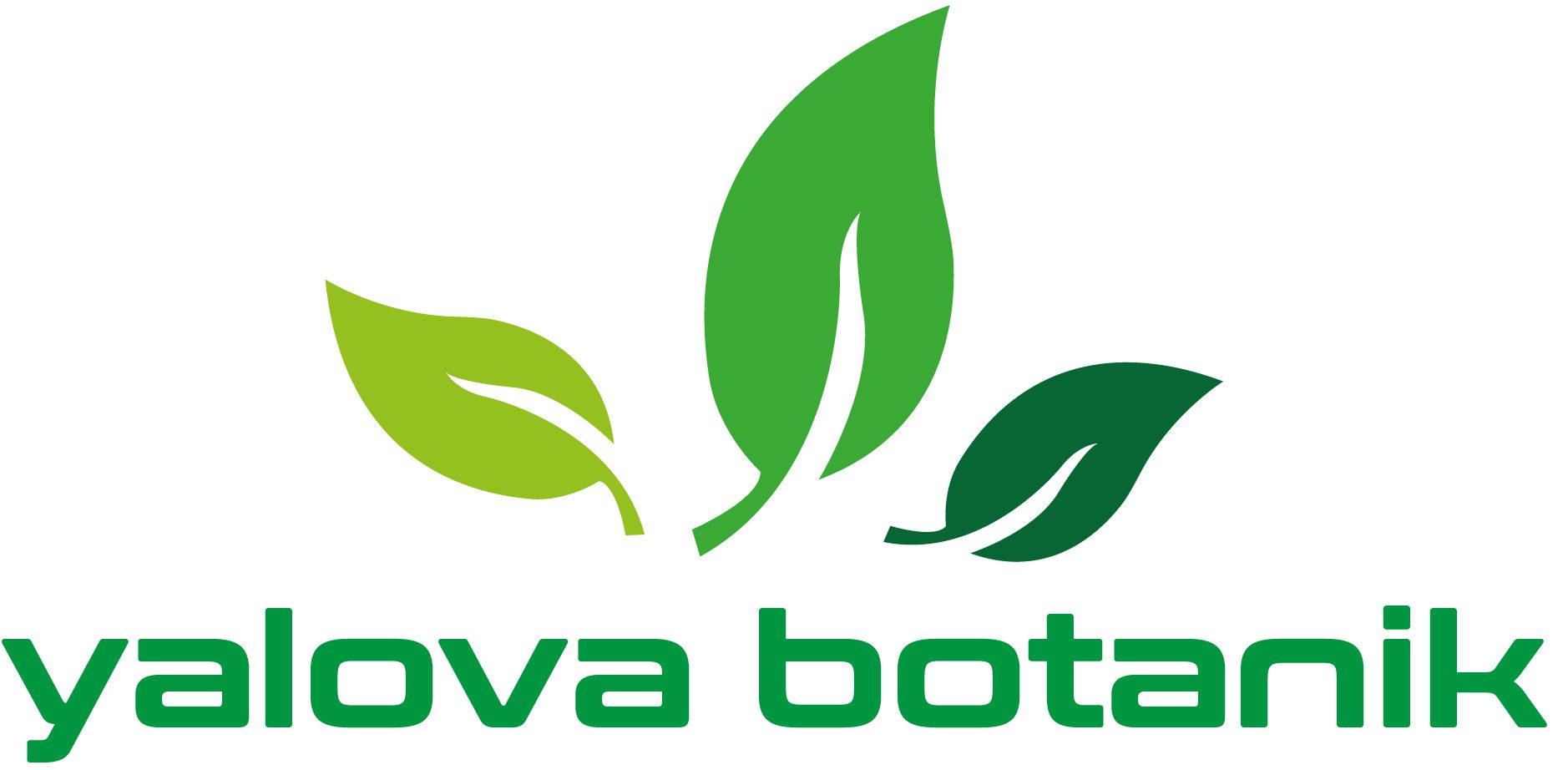 Yalova Botanik şirket logosu